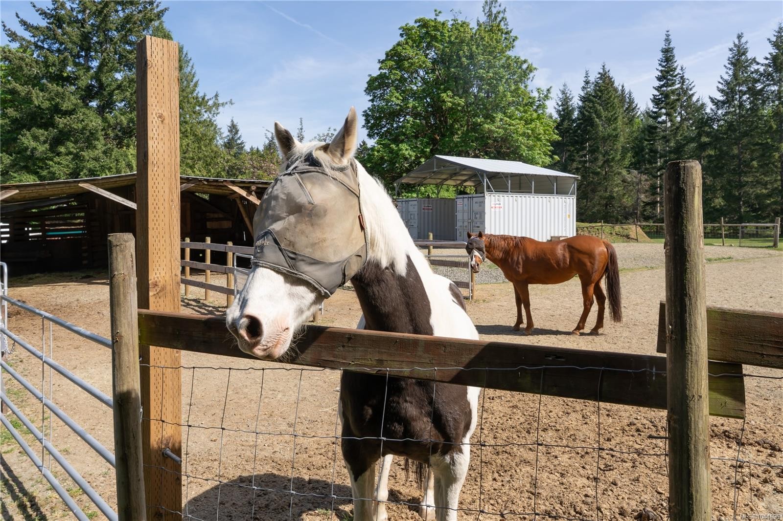 1341 Pratt Rd, Hilliers, BC