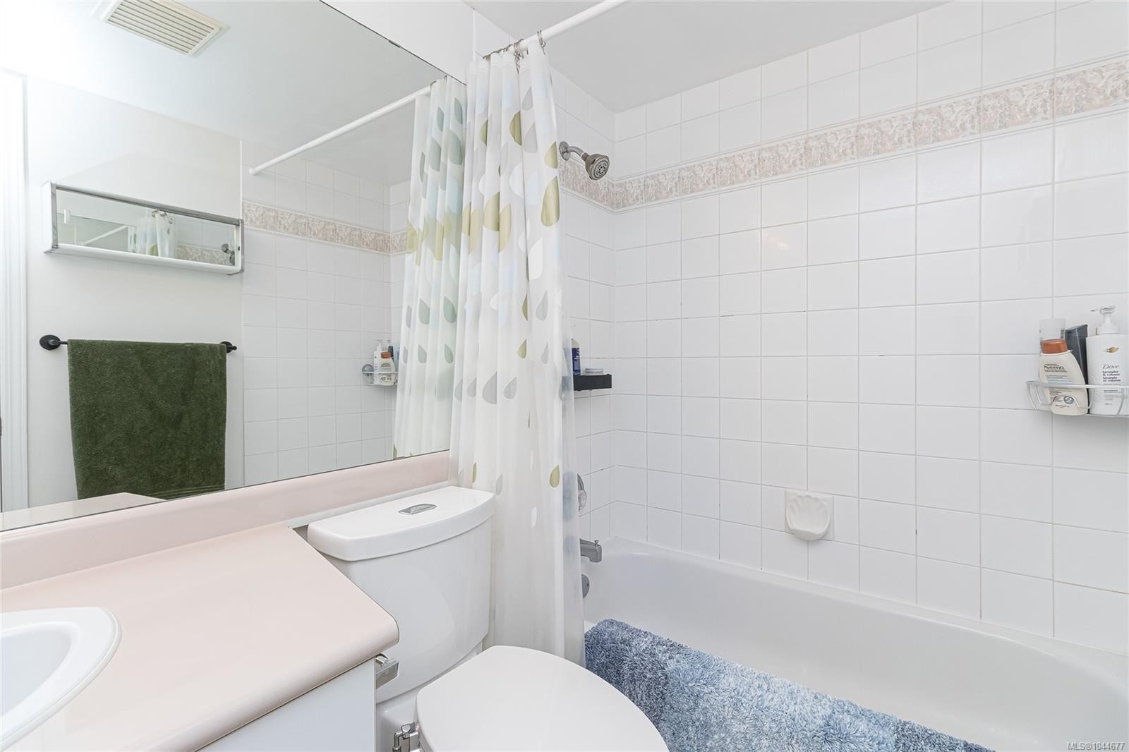 #309-1025 Meares St, Victoria, BC - Indoor Photo Showing Bathroom