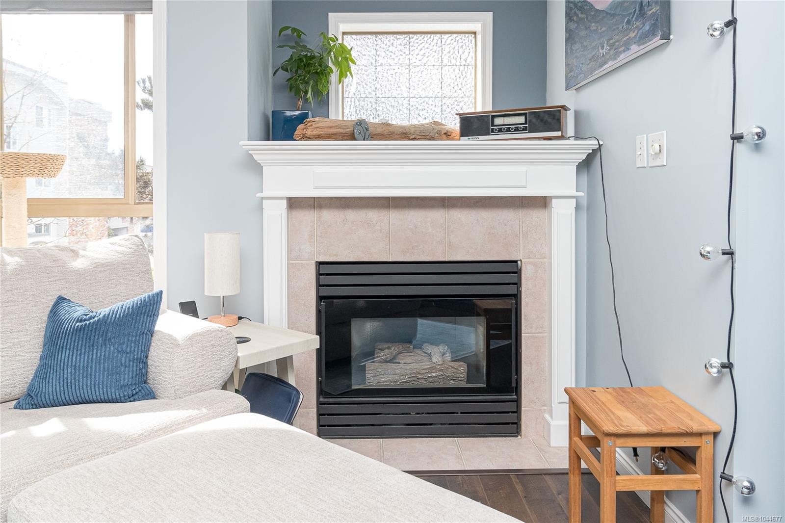 #309-1025 Meares St, Victoria, BC - Indoor Photo Showing Living Room With Fireplace