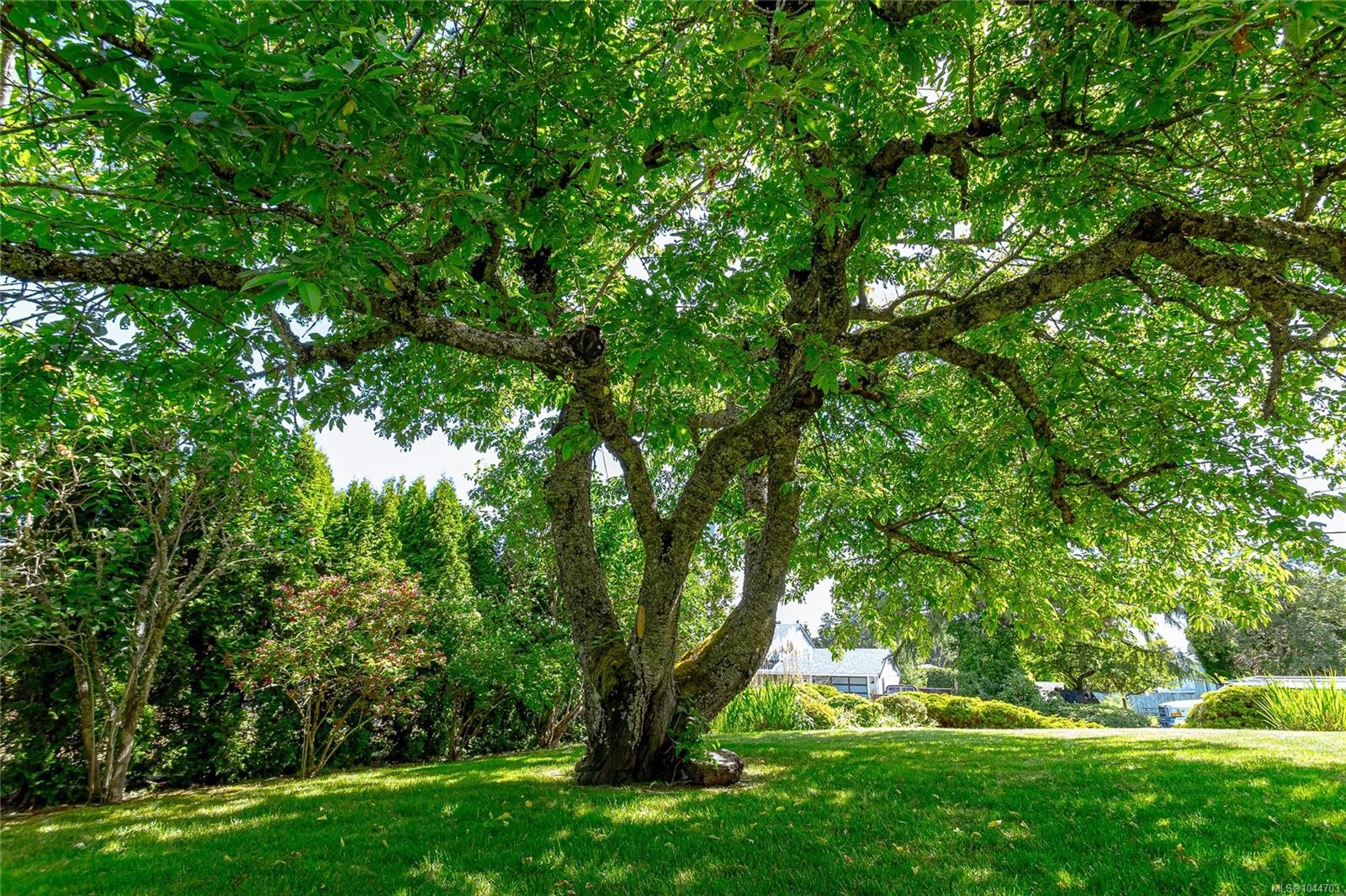 6224 Robin Way, Central Saanich, BC