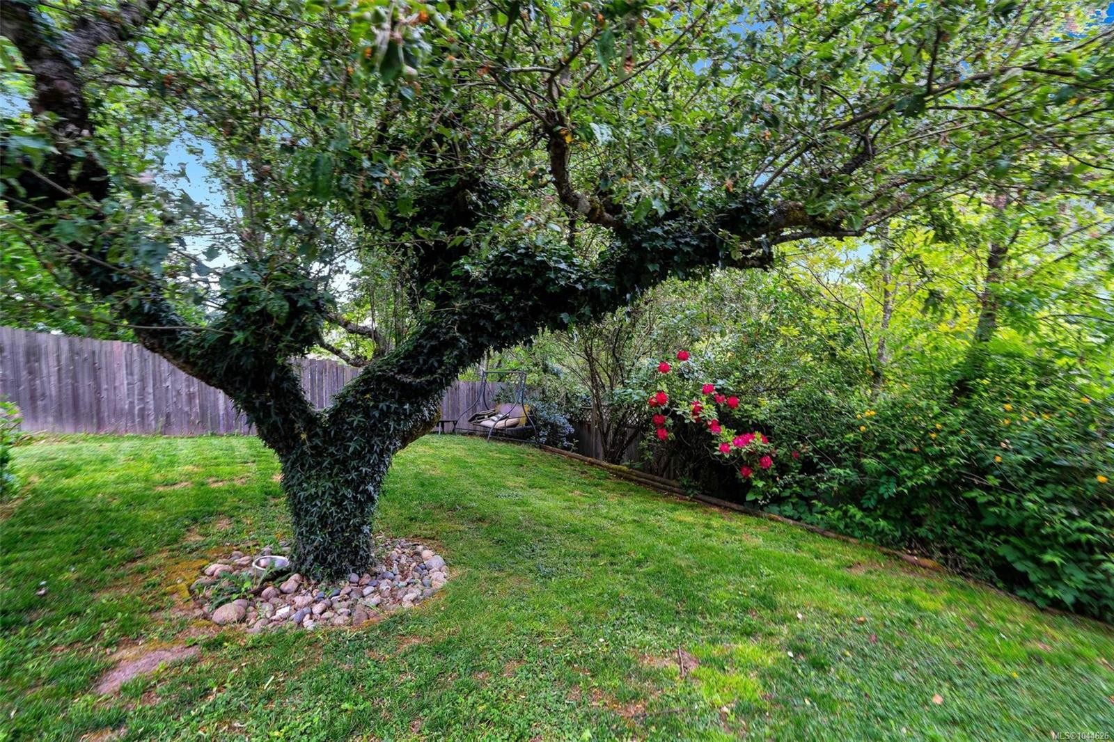 920 Jasmine Ave, Saanich, BC