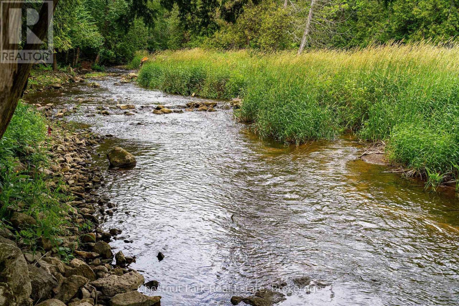 Mad River in ravine - 9420 Ewing Road, Clearview, ON