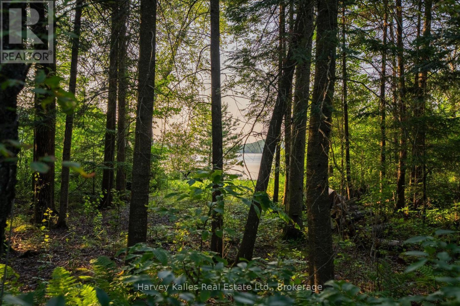 4154 & 4191 Ravenscliffe Road, Huntsville (Stisted), ON