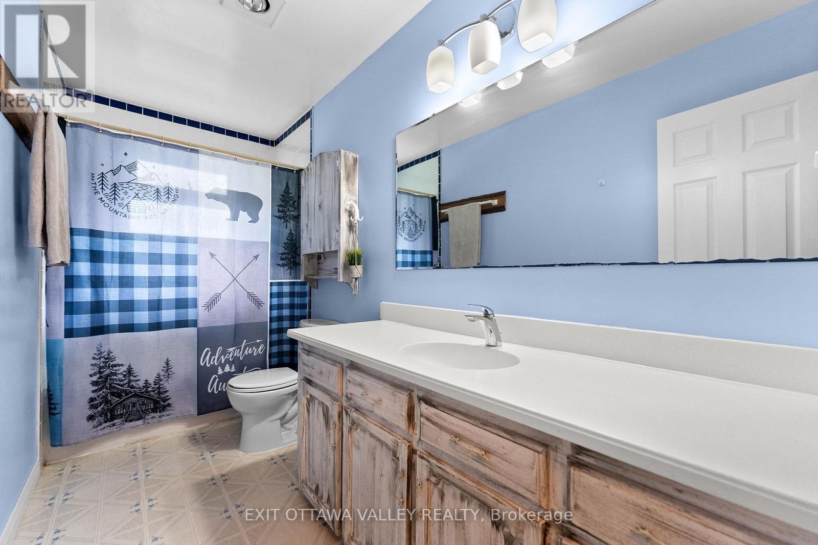 1292 Green Lake Road, North Algona Wilberforce, ON - Indoor Photo Showing Bathroom