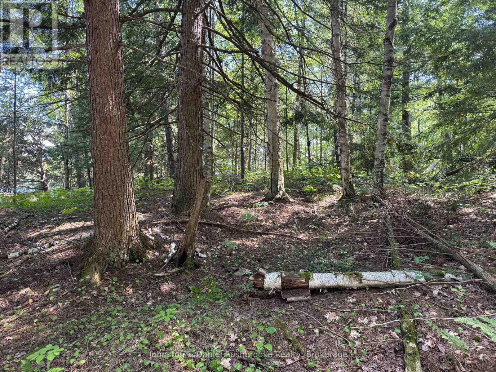 2 Island 24Lm (Denison), Gravenhurst (Muskoka (S)), ON