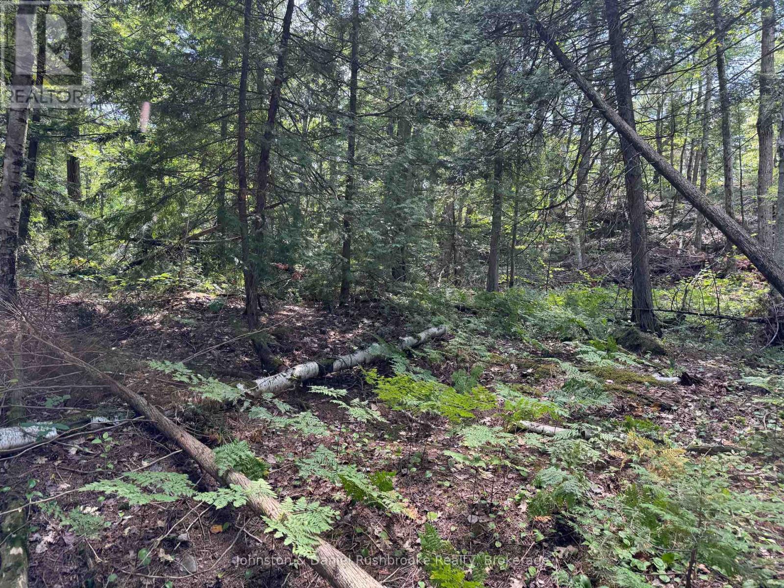 2 Island 24Lm (Denison), Gravenhurst (Muskoka (S)), ON
