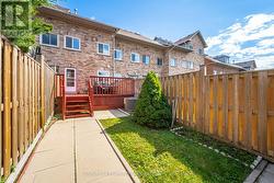 Backyard -