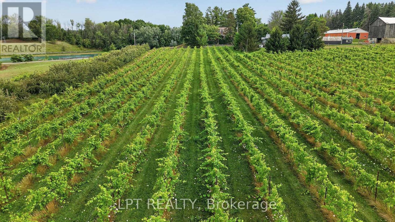 416476 10Th Line S, Blue Mountains, ON