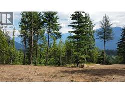 Lot 2 BALFOUR Avenue Kaslo, BC V0G 1M0