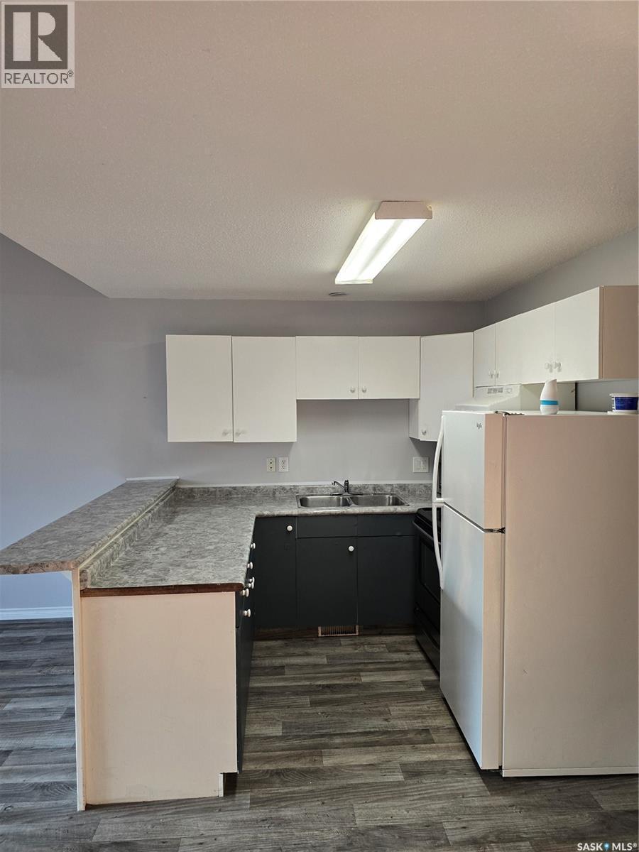 1125 Mctavish Street, Regina, SK - Indoor Photo Showing Kitchen With Double Sink