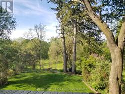 Back Yard 3 -