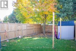 Backyard -