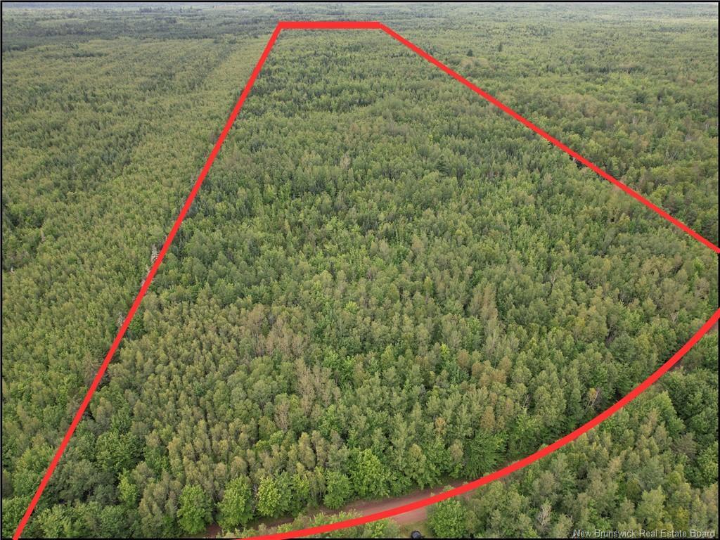 Lot On Rive Rd, Dundas, NB - Outdoor With View
