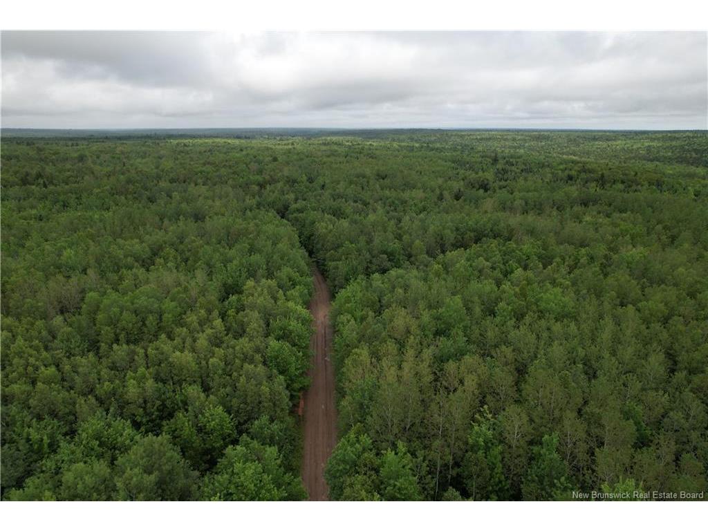 Lot On Rive Rd, Dundas, NB - Outdoor With View