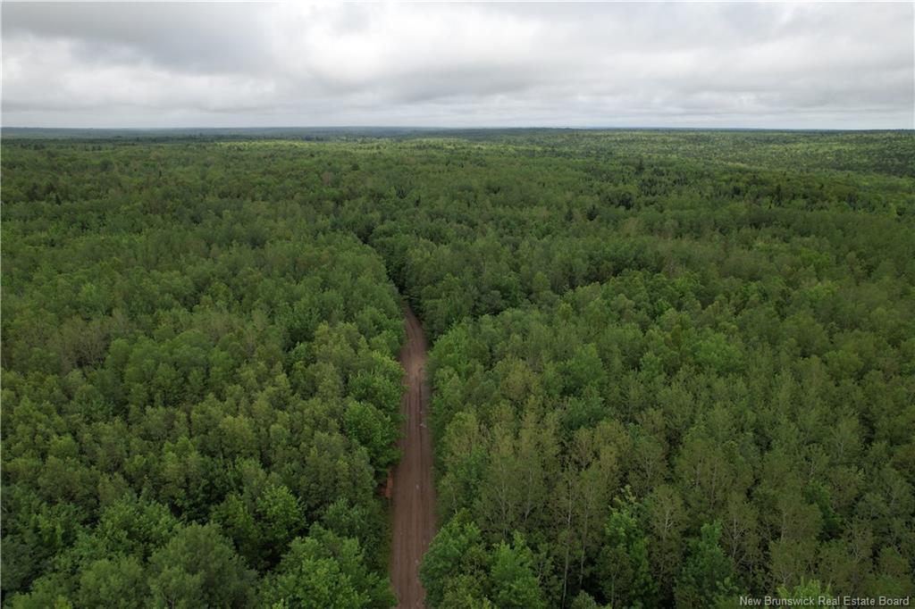Lot On Rive Rd, Dundas, NB - Outdoor With View