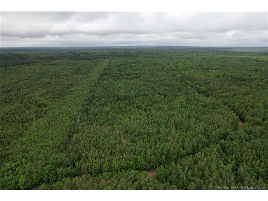 Lot On Rive Rd, Dundas, NB - Outdoor With View