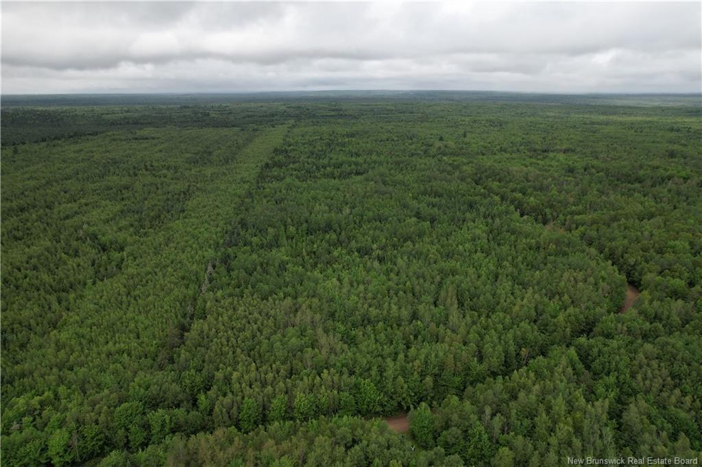 Lot On Rive Rd, Dundas, NB - Outdoor With View