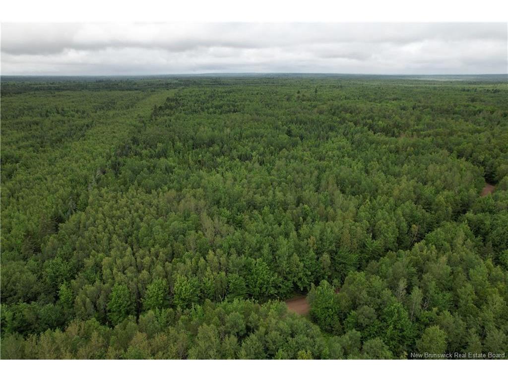 Lot On Rive Rd, Dundas, NB - Outdoor With View