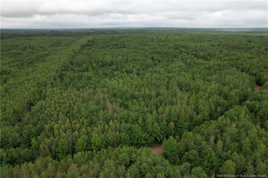 Lot On Rive Rd, Dundas, NB - Outdoor With View