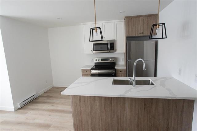 154 Perth Ave, Winnipeg, MB - Indoor Photo Showing Kitchen With Stainless Steel Kitchen With Upgraded Kitchen