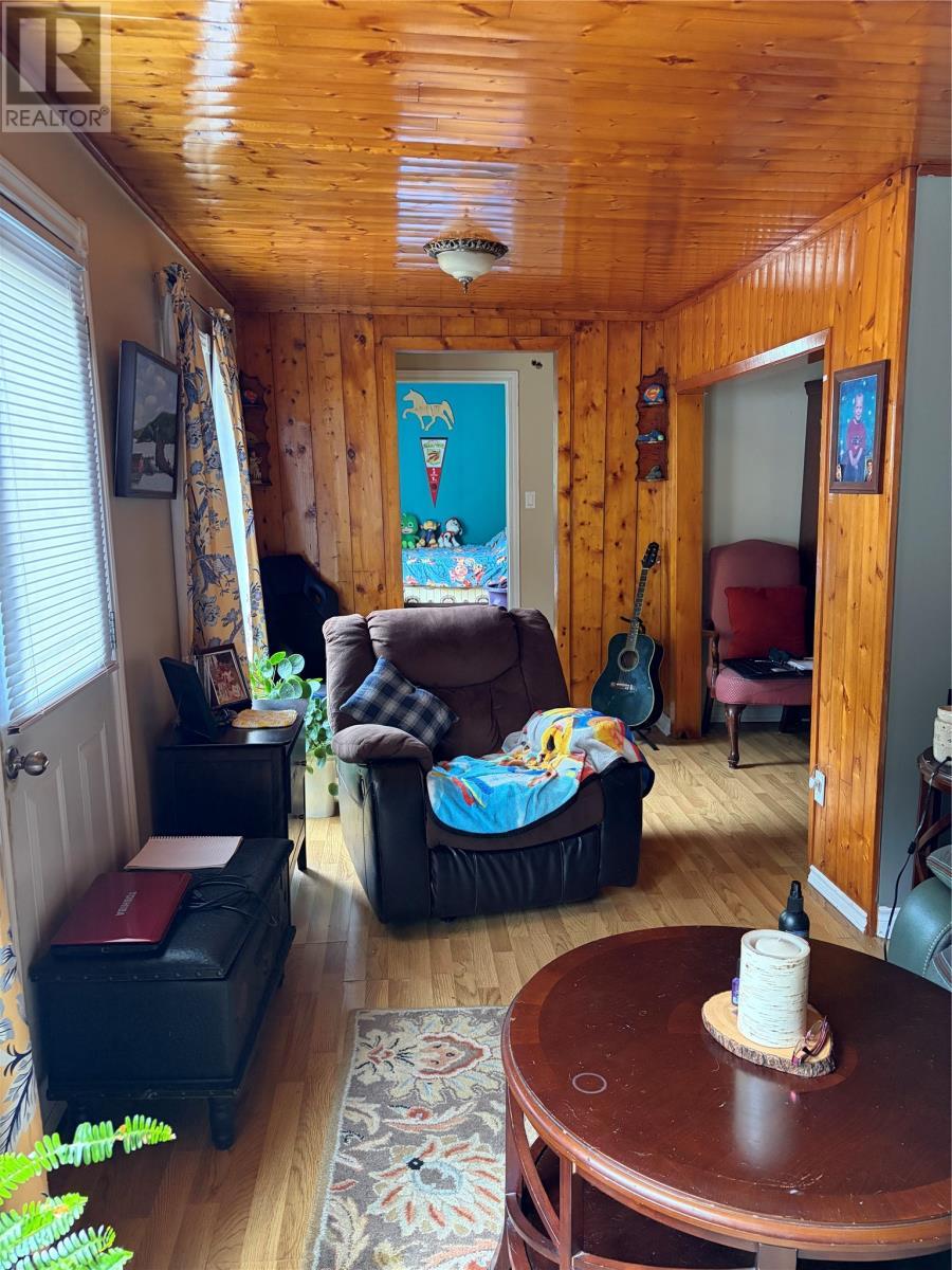 97 Long Pond Road, Georgetown, NL - Indoor Photo Showing Living Room