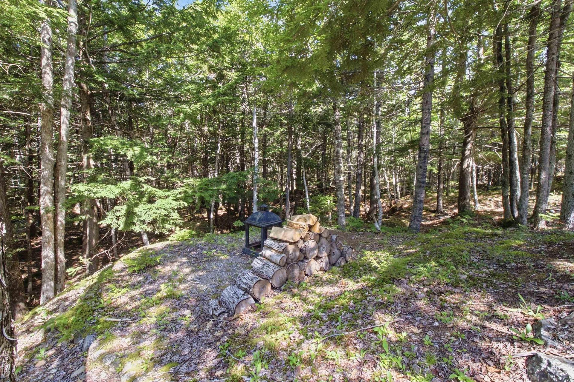 95 White Tail Pass, Vaughan, NS - Outdoor