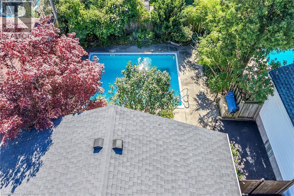 Private backyard with an in-ground swimming pool, surrounded by mature trees and concrete decking - 101 Loyalist Drive, Hamilton, ON - Outdoor With In Ground Pool