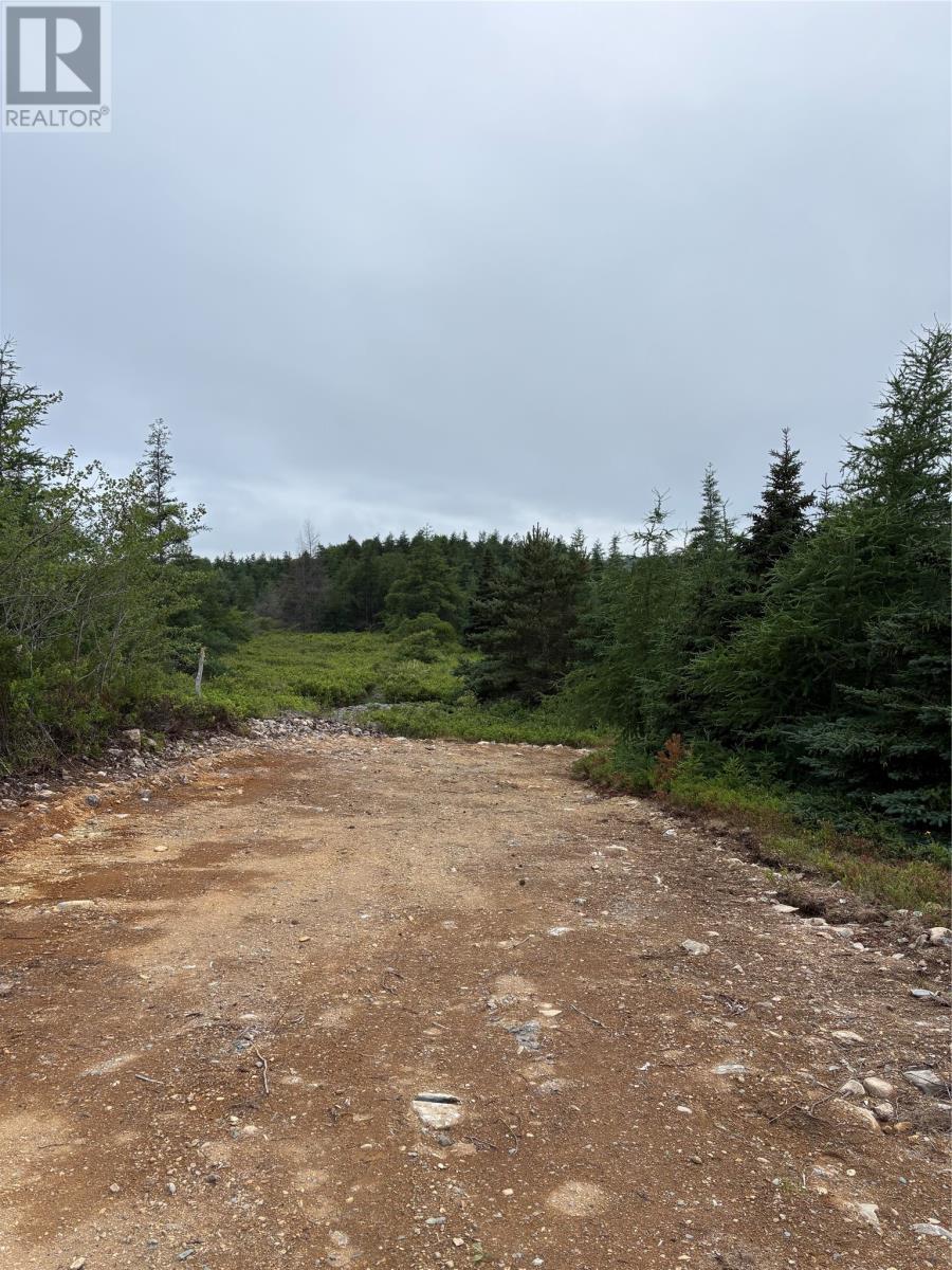 0 Sod Lane, Bay Roberts, NL