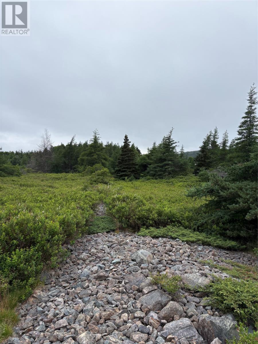 0 Sod Lane, Bay Roberts, NL