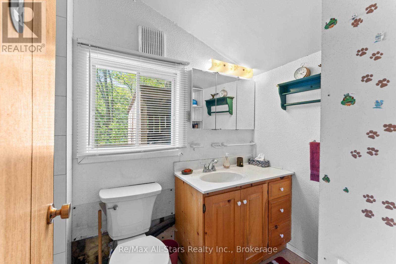 55 Fire Route 393, Trent Lakes, ON - Indoor Photo Showing Bathroom