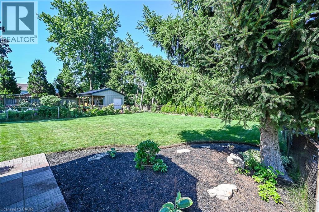 Expansive backyard featuring a large manicured lawn, established perimeter trees, and a detached shed with an open-air covered section - 386 Upper Kenilworth Avenue, Hamilton, ON - Outdoor