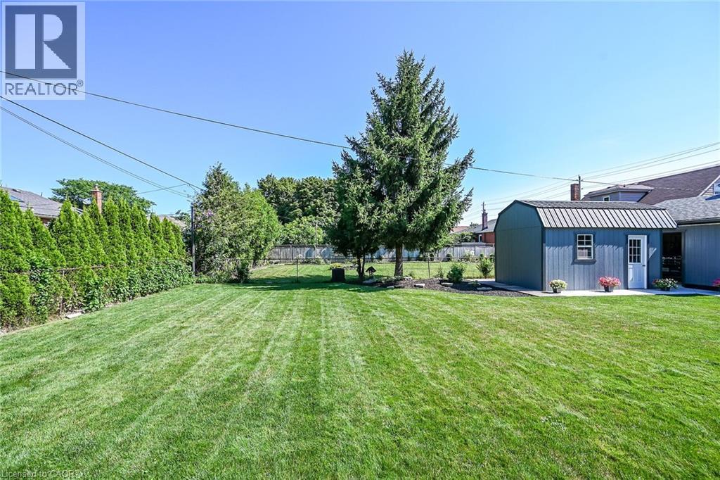 Expansive grass lawn featuring a detached storage shed with a gambrel roof and a mature evergreen tree - 386 Upper Kenilworth Avenue, Hamilton, ON - Outdoor