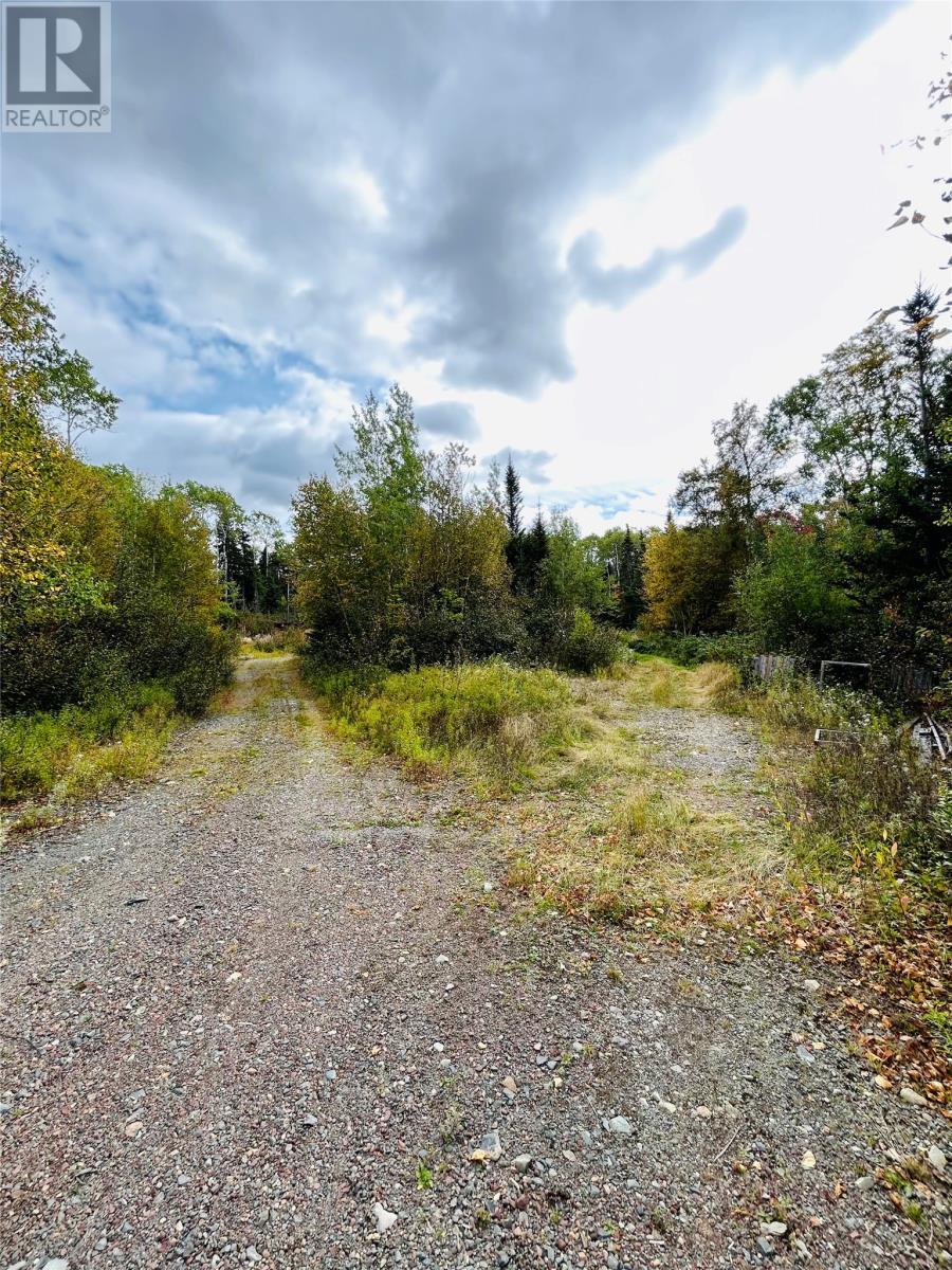 117 Askels Cove Road, Western Arm, NL