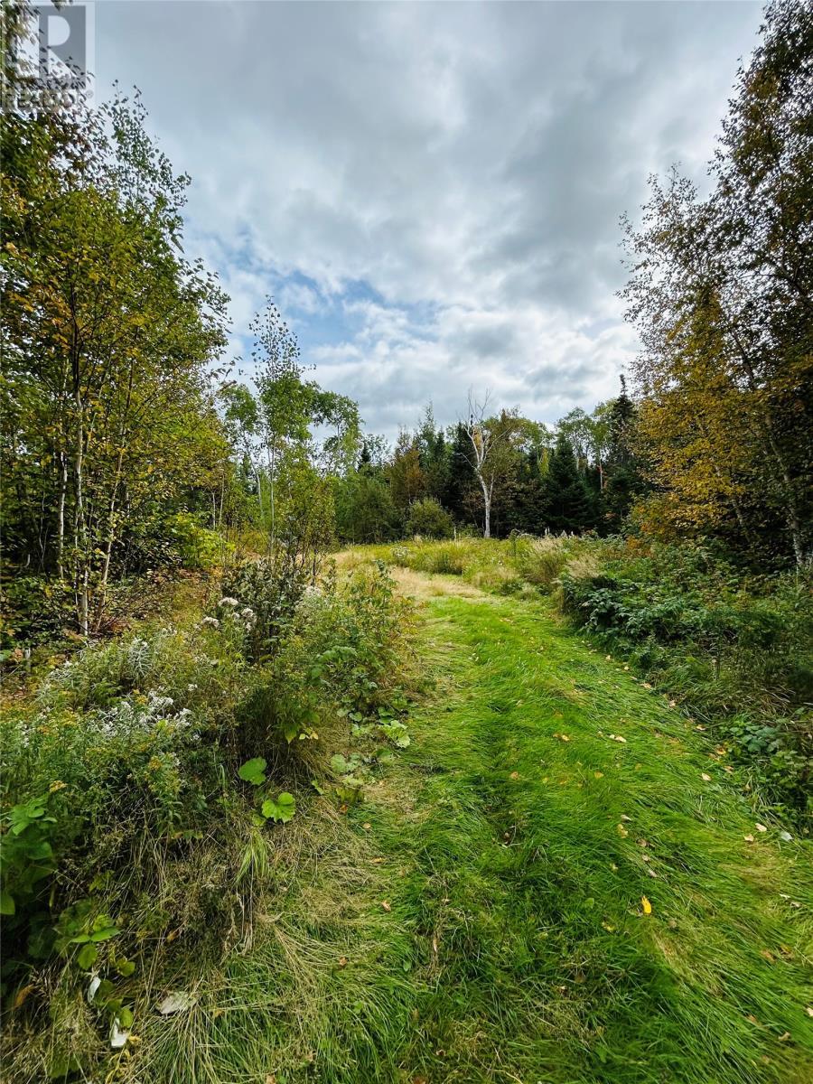 117 Askels Cove Road, Western Arm, NL
