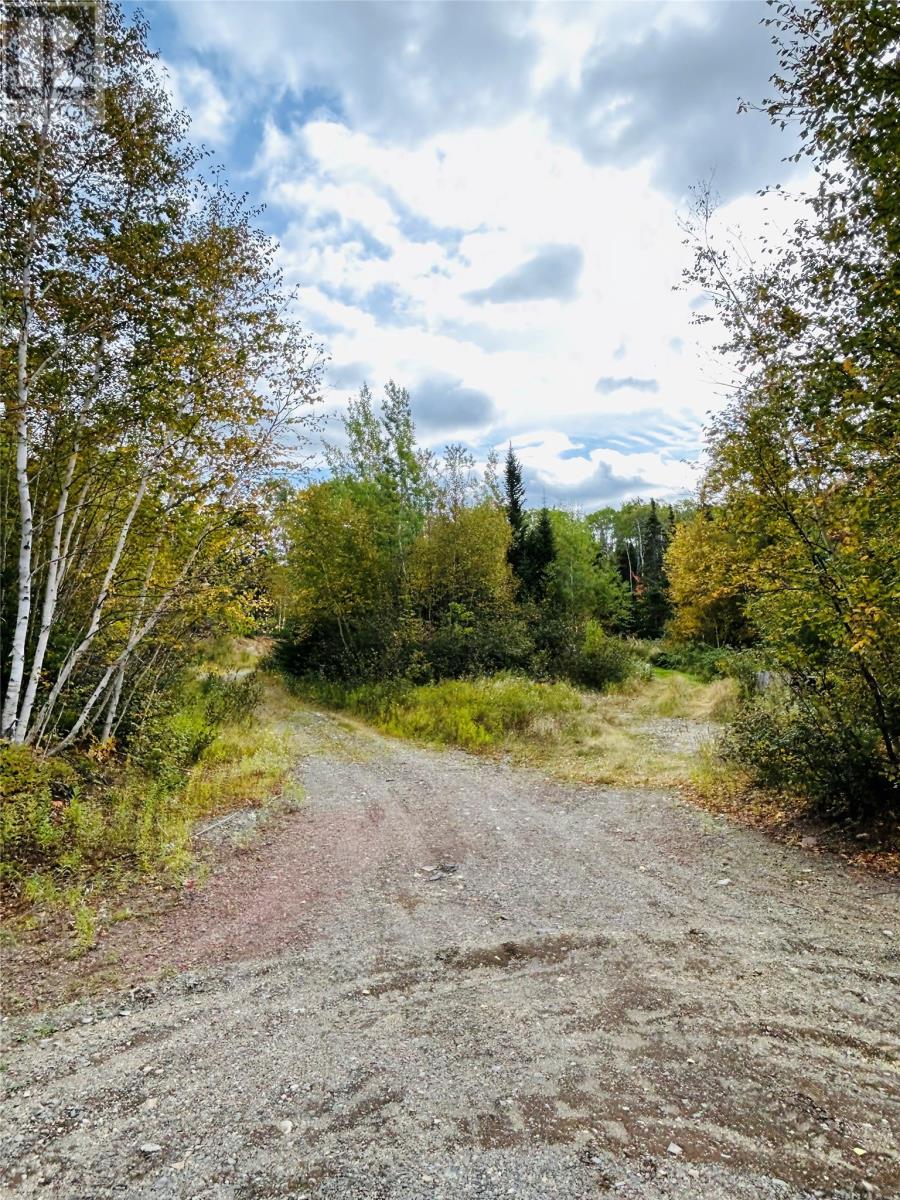 117 Askels Cove Road, Western Arm, NL