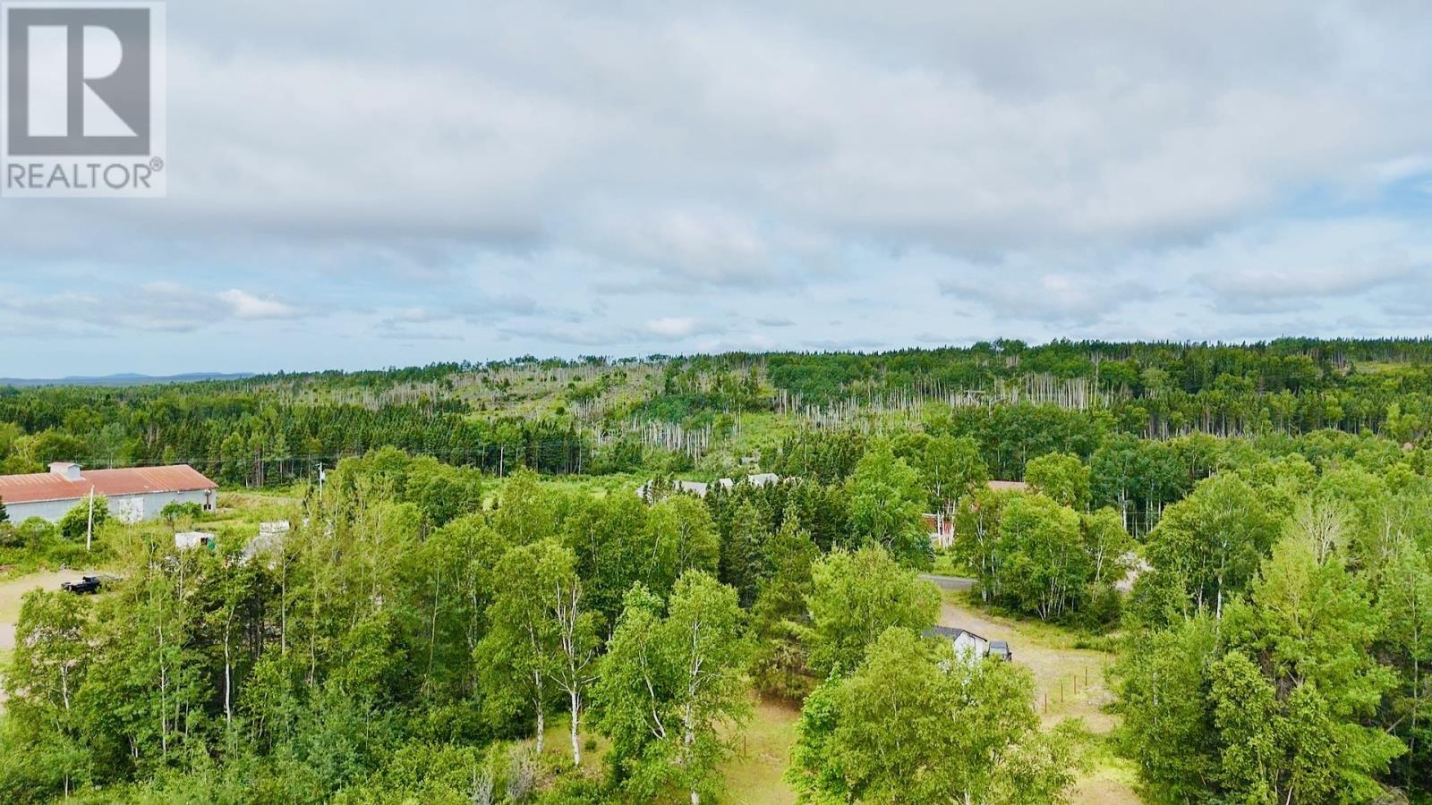 5 Burnt Berry Farm Road, Springdale, NL - Outdoor With View