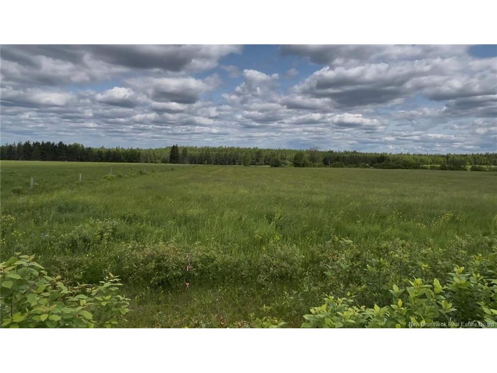 24 Harrington Rd, Steeves Mountain, NB