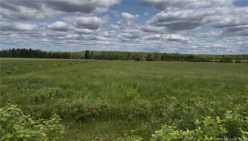 24 Harrington Rd, Steeves Mountain, NB