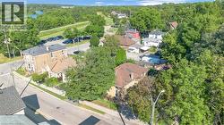 Aerial perspective showcasing a mixed residential and commercial streetscape with mature trees -