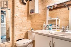 basement bathroom -