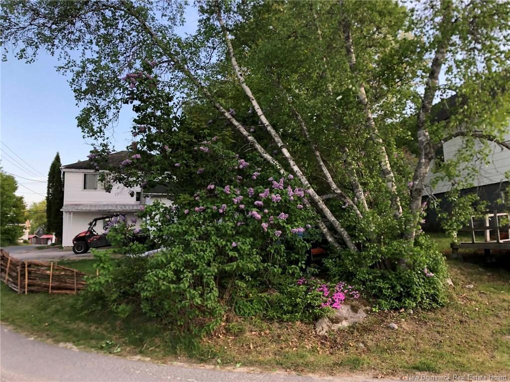7 Oak St, Mcadam, NB