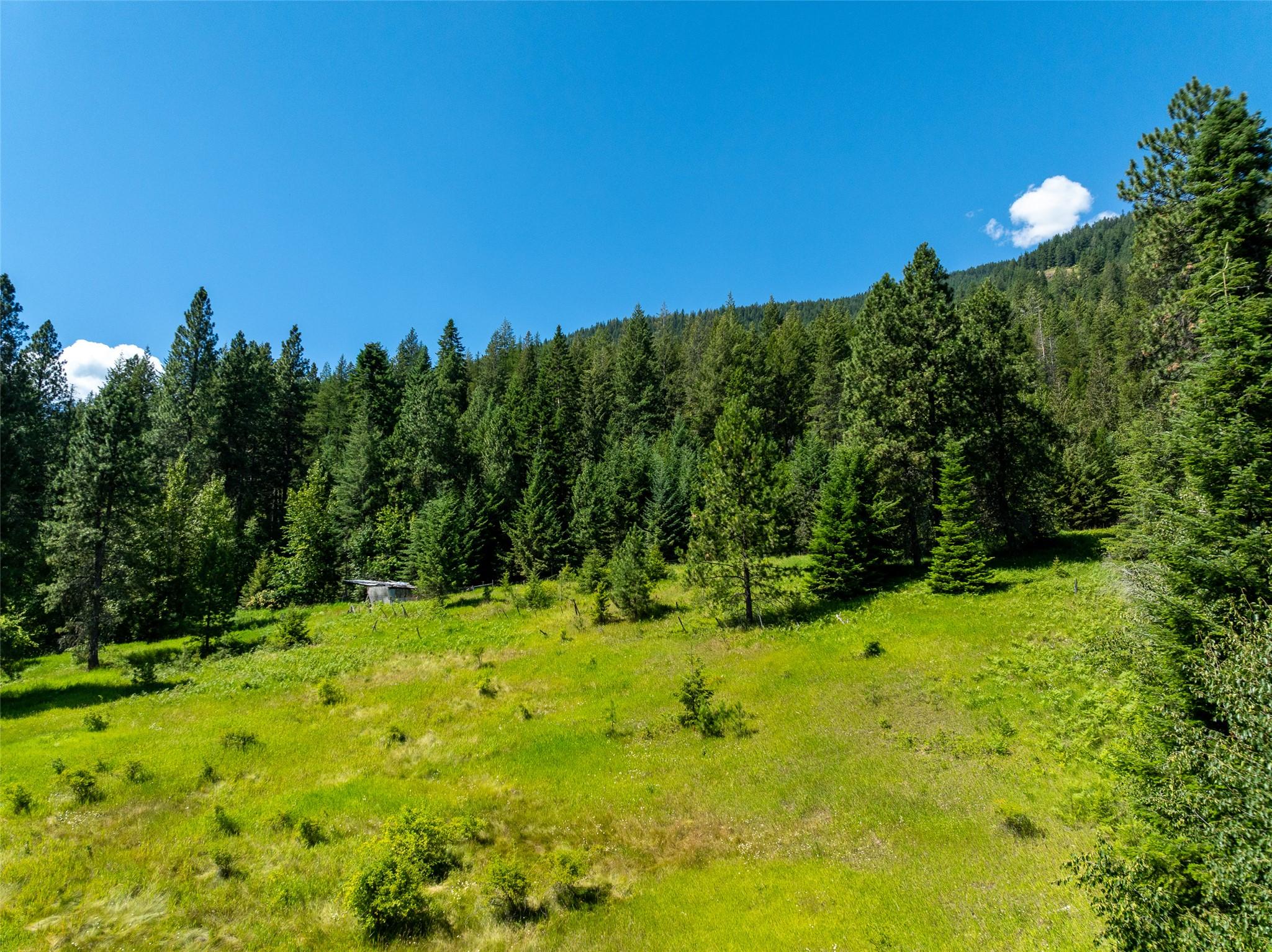 Evans Road, Creston, BC - Outdoor With View