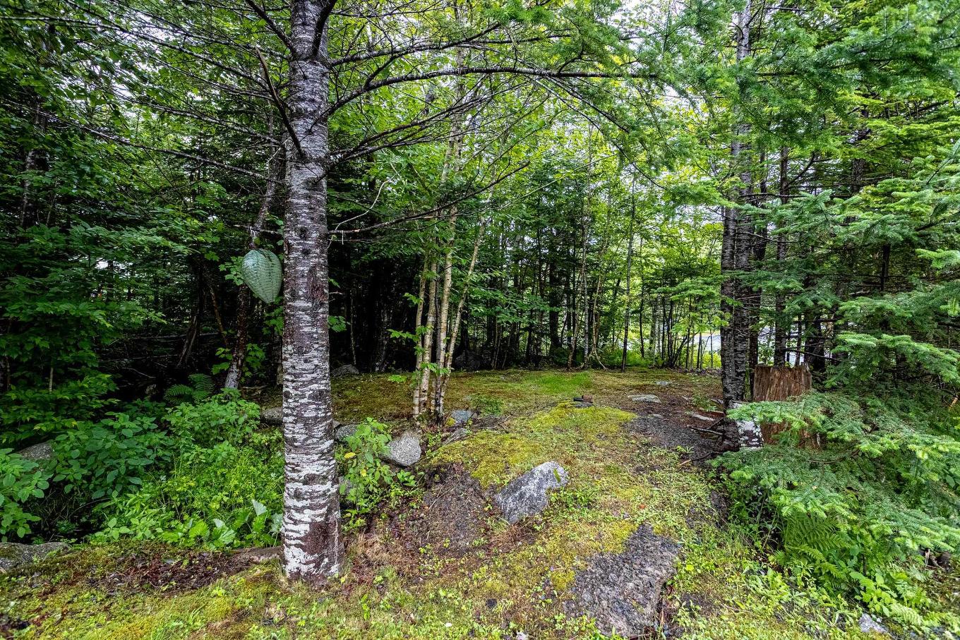 1850 Old Sambro Road, Williamswood, NS - Outdoor