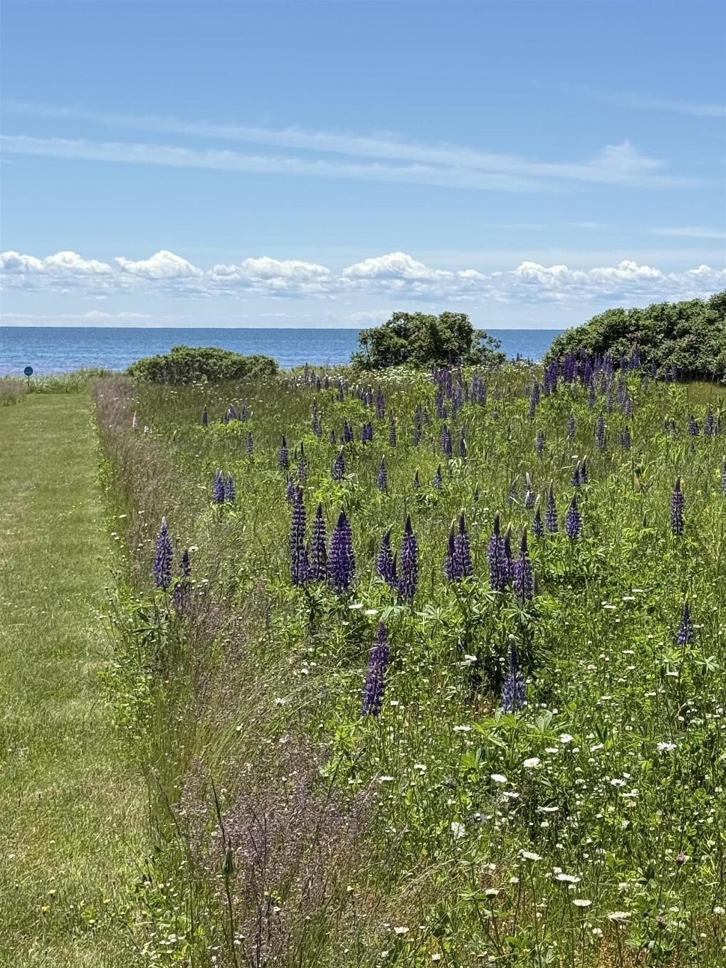 7 Acres Ince Drive - Hampton Beach, Hampton, PE
