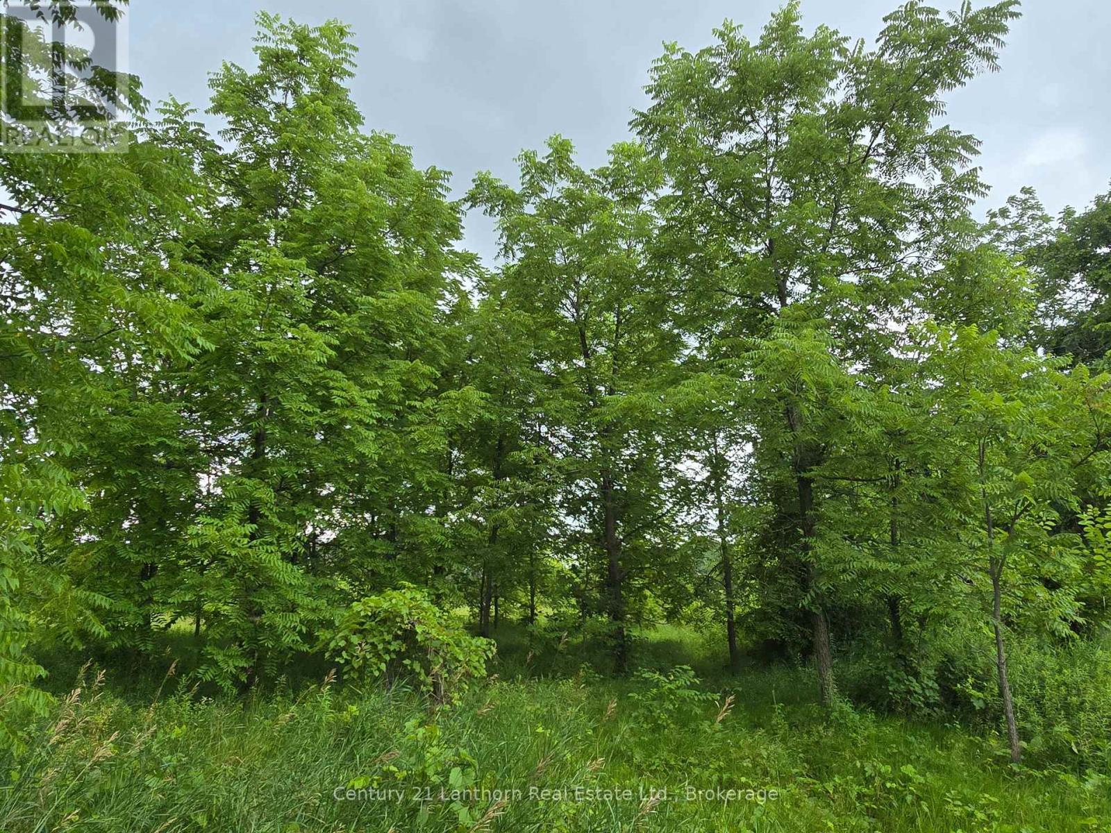 448 Harrington Road, Quinte West (Sidney Ward), ON - Outdoor