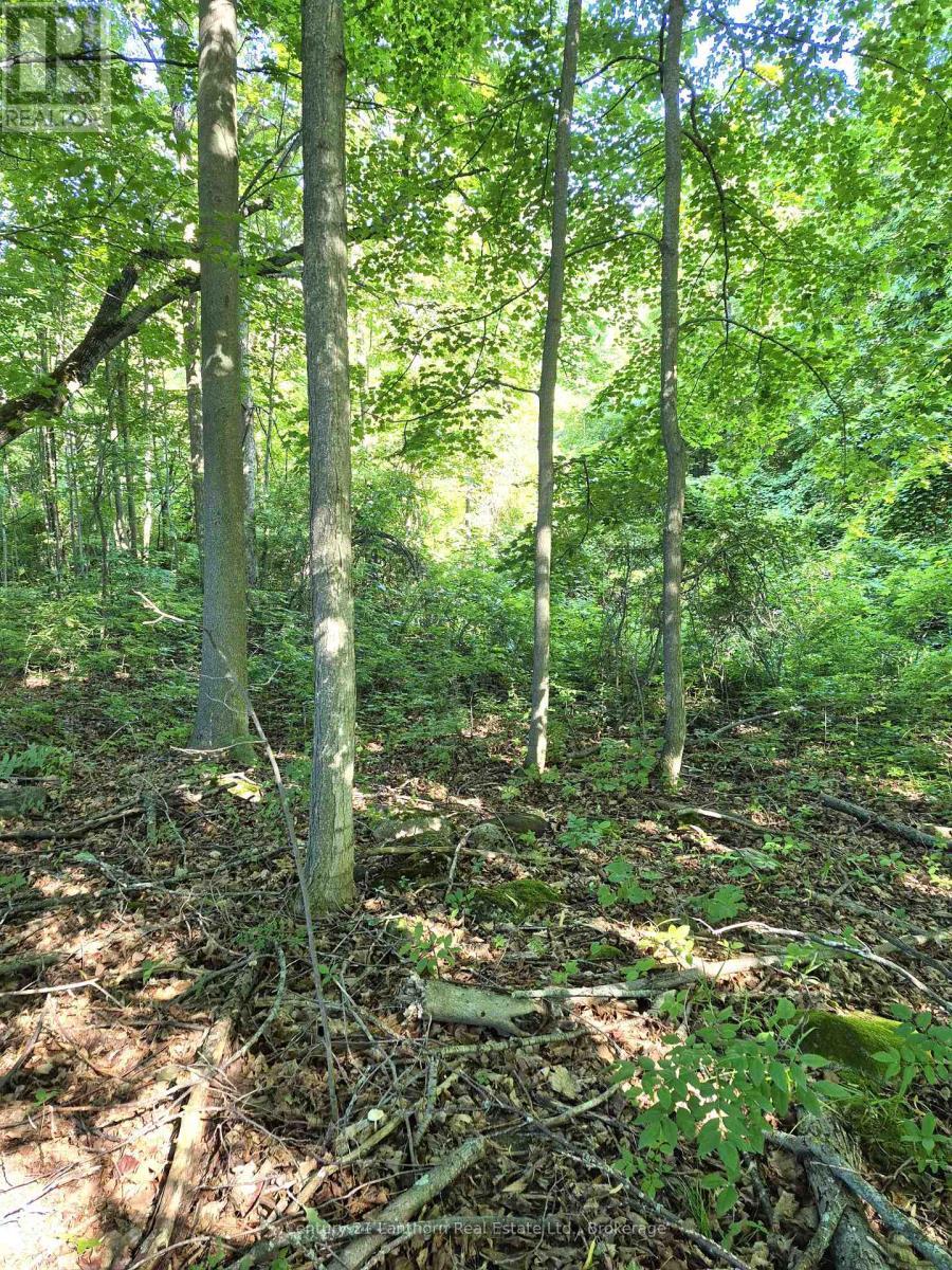 448 Harrington Road, Quinte West (Sidney Ward), ON - Outdoor