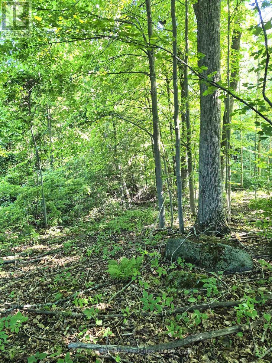 448 Harrington Road, Quinte West (Sidney Ward), ON - Outdoor