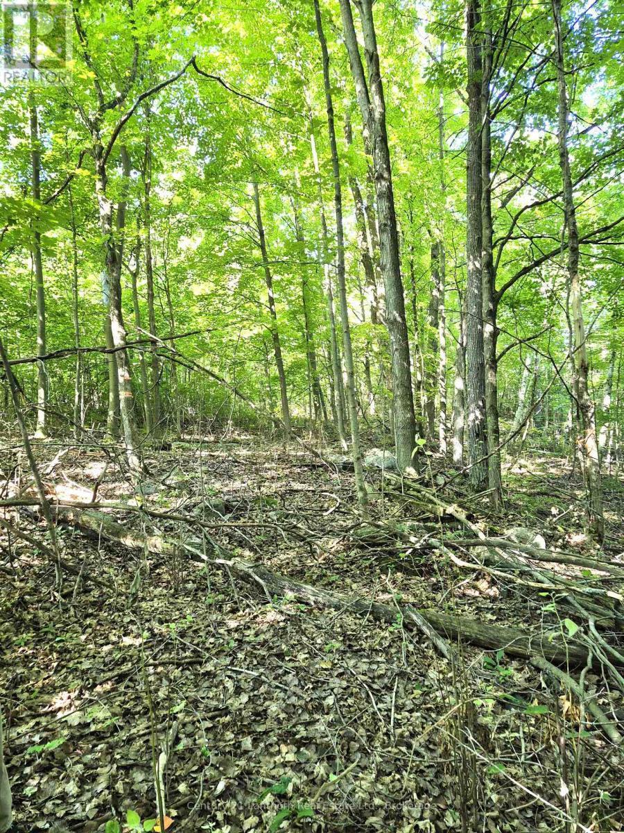 448 Harrington Road, Quinte West (Sidney Ward), ON - Outdoor