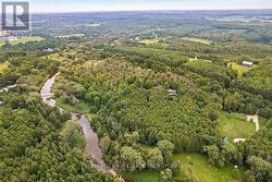 Quiet, scenic location outside of Priceville -