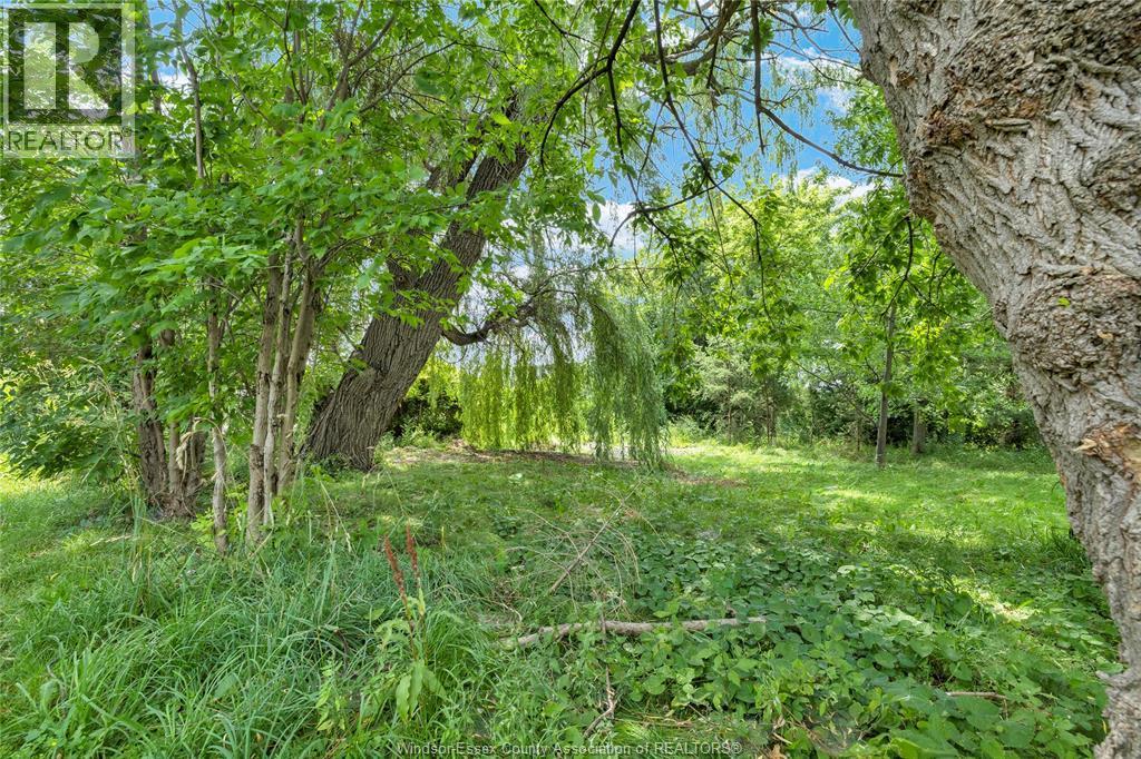 1337 Janette, Windsor, ON - Outdoor